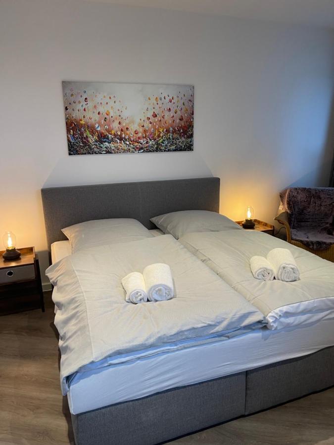 Apartment Penthouse Am Park